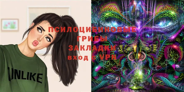 PSILOCYBIN Абаза