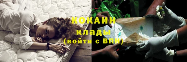 прущие грибы Абинск