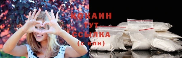 прущие грибы Абинск