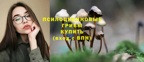 ГАЛЛЮЦИНОГЕННЫЕ ГРИБЫ Абдулино