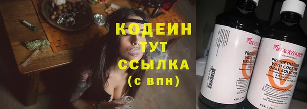 прущие грибы Абинск