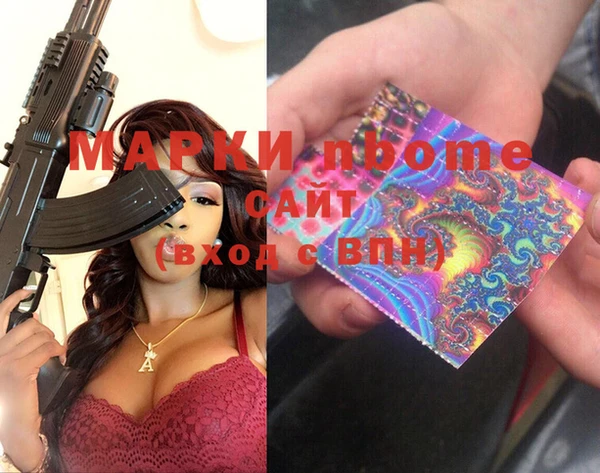 прущие грибы Абинск
